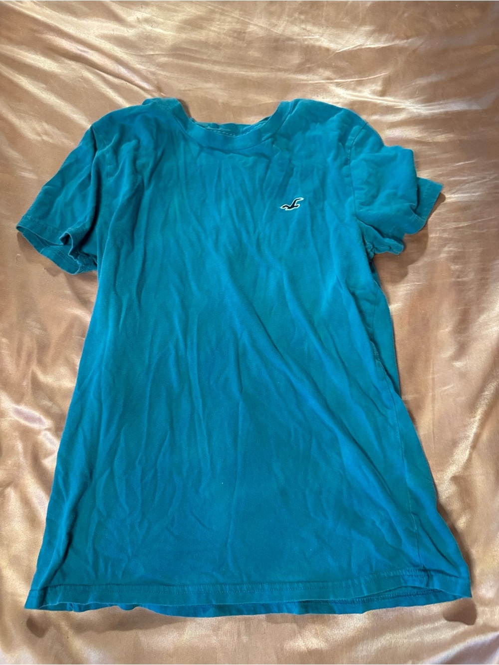 Hollister Teal Crewneck T-Shirt with Seagull Logo